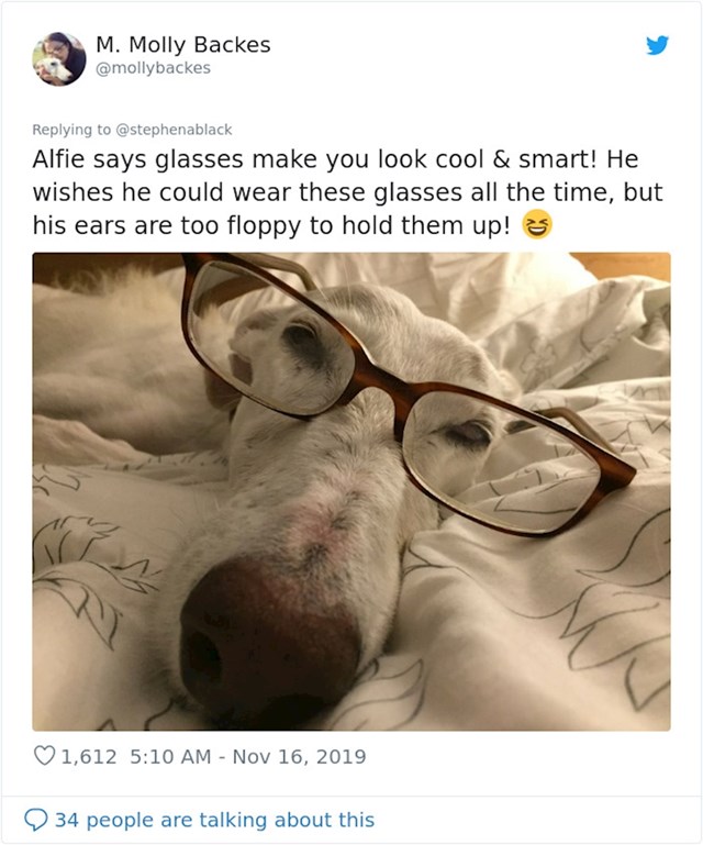 "Alfie kaže da s naočalama izgledaš cool i pametno! I on bi htio nositi naočale cijelo vrijeme, no njegove uši ih ne mogu držati!"