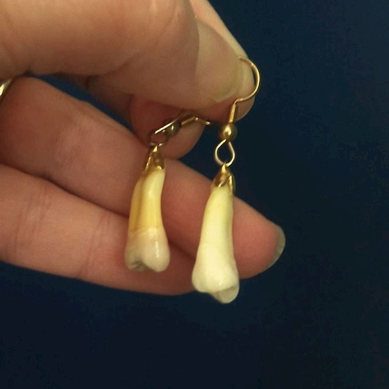 "Danas sam tijekom čišćenja našla stare naušnice sa zubima."