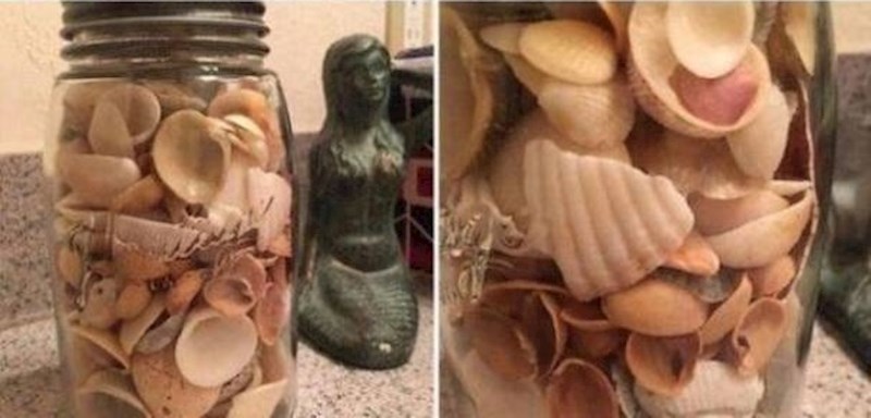 "Dečko mi je bio na putovanju, donio mi je punu staklenku školjkica s plaže. Ne znam kako da mu objasnim da su neke od njih zapravo ljuske od pistacija."