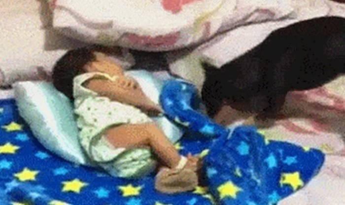 Mama je ušla u spavaću sobu i ugledala nevjerojatan prizor, pogledajte što je pas radio