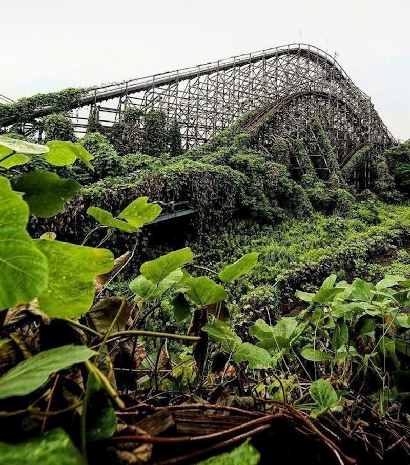 Ovdje je priroda potpuno progutala napušteni zabavni park. Hoće li neke buduće civilizacije godinama pokušavati saznati za što je služio?
