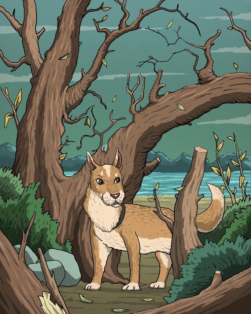 Gdje se krije mačka?