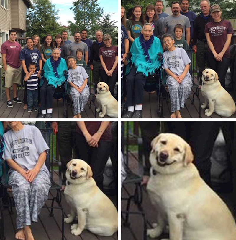 "Naš pas zna da se za slikanje treba nasmijati."