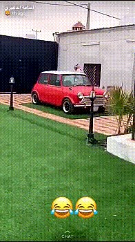 Ono kada bogati šeik odluči nabaviti kućnog ljubimca