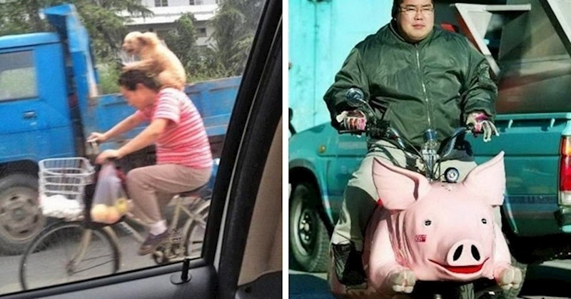 20 urnebesnih prizora koje ćete možda vidjeti ako jednog dana posjetite Aziju