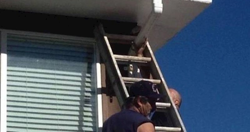 20 smiješnih slika ljudi koji su napravili nevjerojatno glupe greške