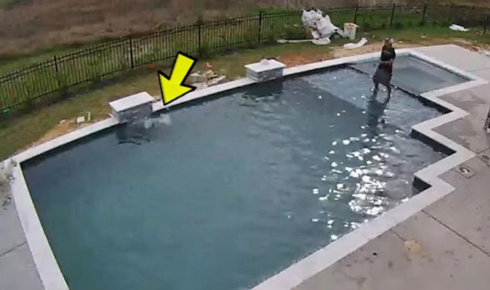 VIDEO Smotani psić se počeo utapati, kamera je snimila vlasnikovu herojsku reakciju
