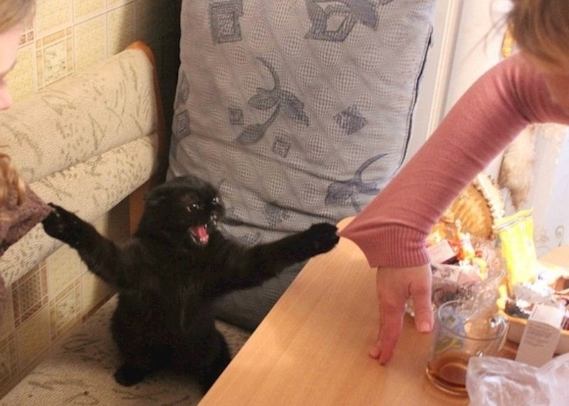 "Mazite me, i jedna i druga!"