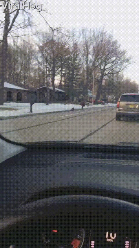 Vozač snimio neobičan prizor: Dječak bježao od neočekivanog napadača, drugi vozač ga spasio