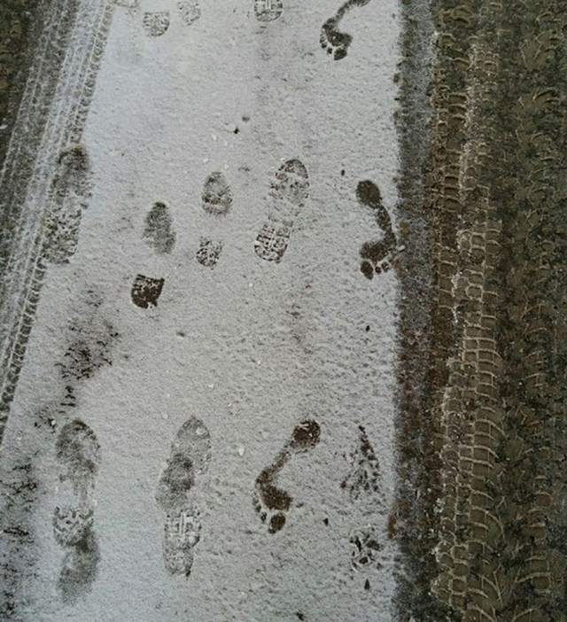 Vani je padao snijeg i čini se da je netko odlučio hodati bos po asfaltu.