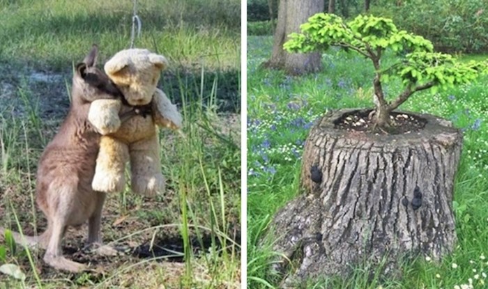 30 prekrasnih fotografija koje ne trebaju opis kako bi vas oduševile