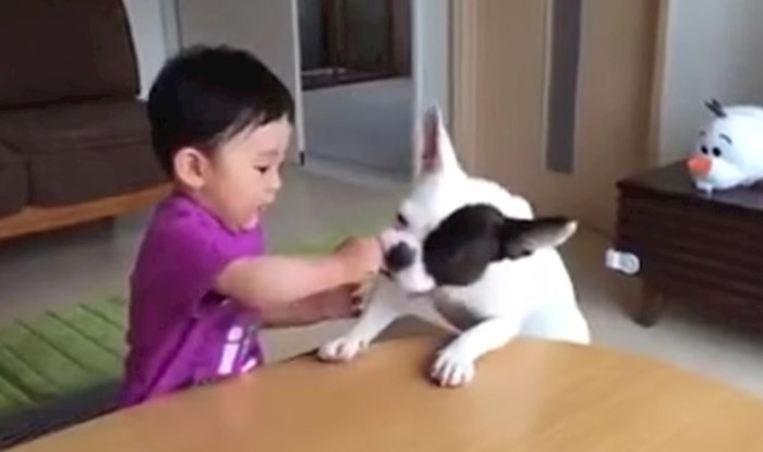 VIDEO Pas je ukrao keksić i rasplakao dječaka, no onda se dogodilo nešto smiješno što ga je zbunilo