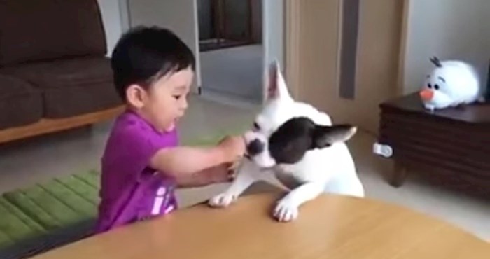 VIDEO Pas je ukrao keksić i rasplakao dječaka, no onda se dogodilo nešto smiješno što ga je zbunilo