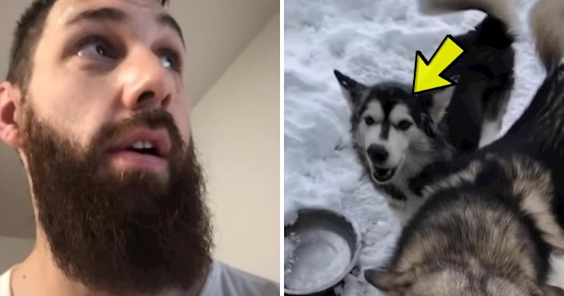 VIDEO Dijete je tati ostavilo neugodno iznenađenje u garaži, nastradao je i pas