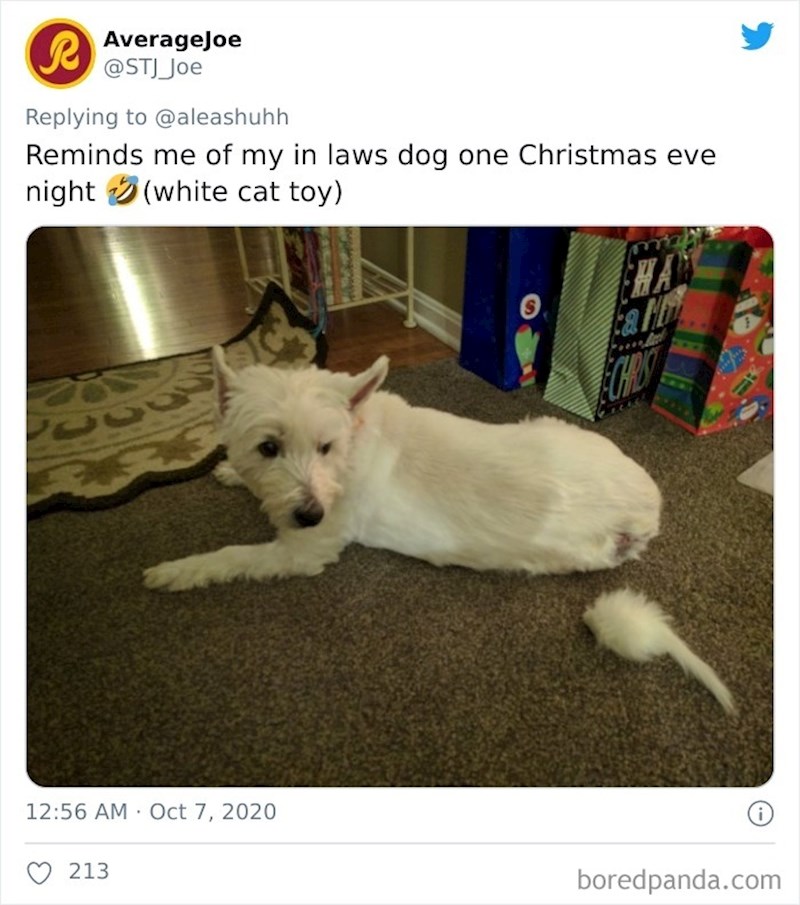 Ovaj mali bijeli dio je samo igračka.