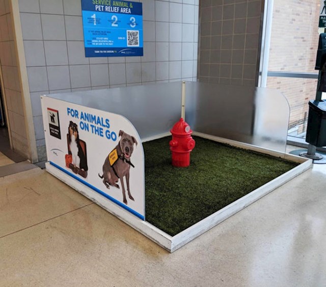 Ova zračna luka ima zanimljiv WC za pse.