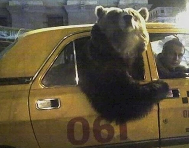 "Uđi u taksi, ja plaćam!"