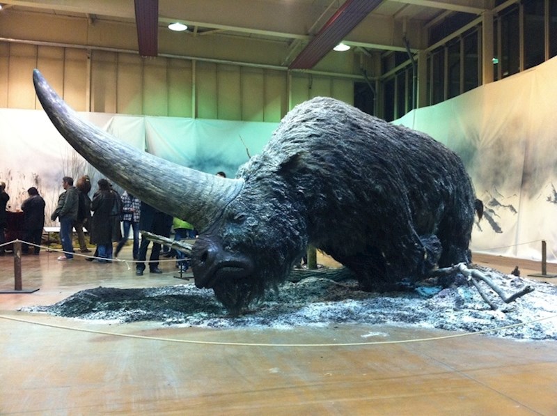 Ovo je Elasmotherium, dlakavi jednorog koji je postojao prije 29 tisuća godina.