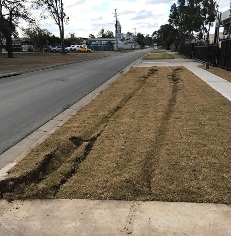 Ma kome treba cesta?