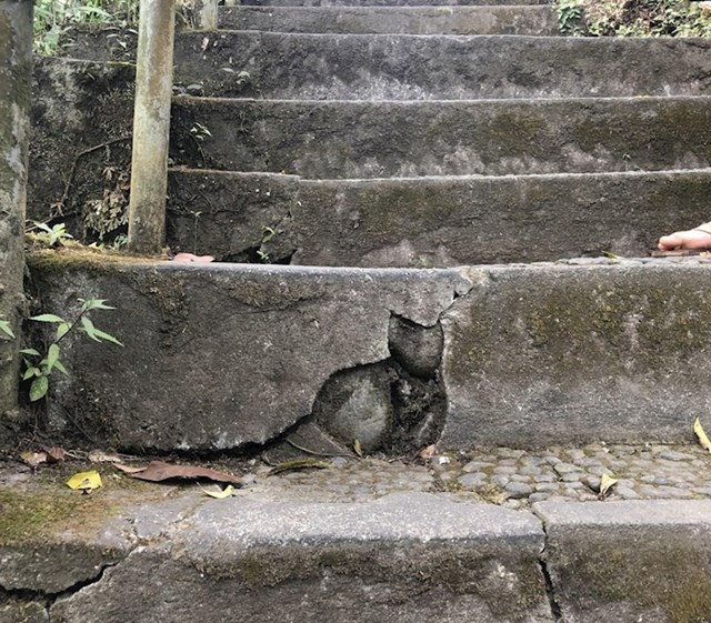 Pukotina u stepenicama koja izgleda kao mačka