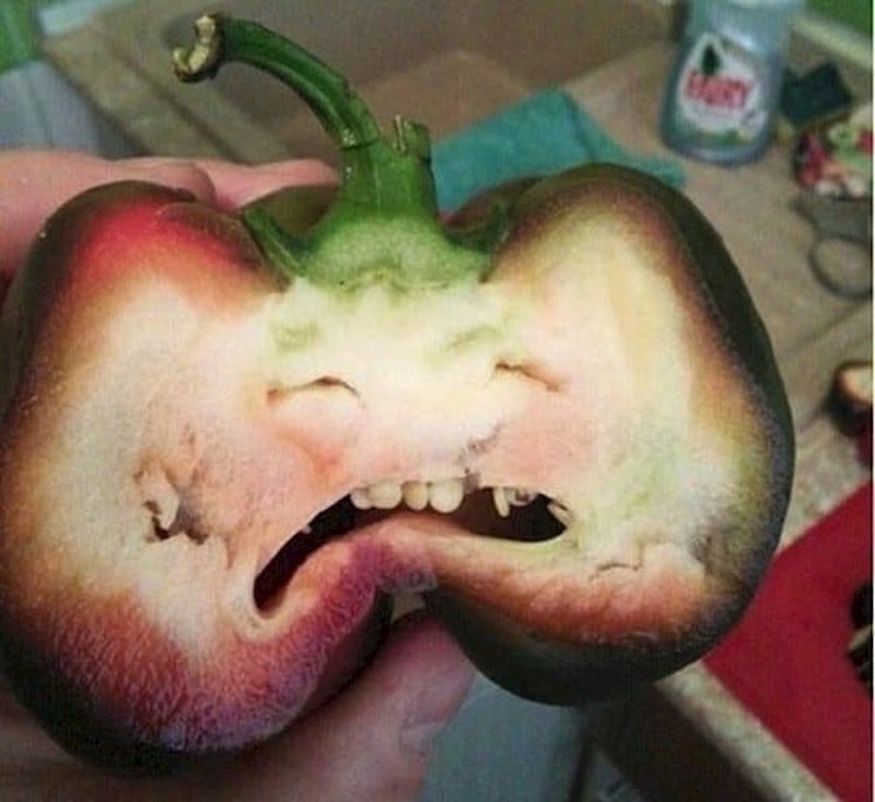 Paprika koja je pojela nešto jako kiselo