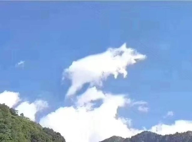 Kad priroda odluči odigrati svoju čudnu igru...