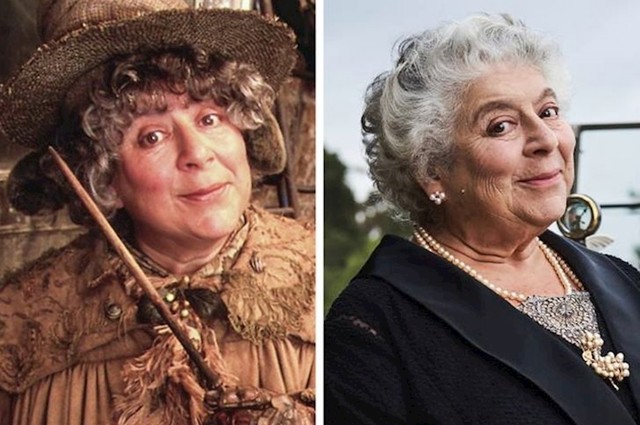 Professor Sprout (Miriam Margolyes)