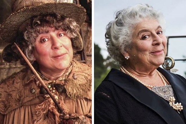 Professor Sprout (Miriam Margolyes)