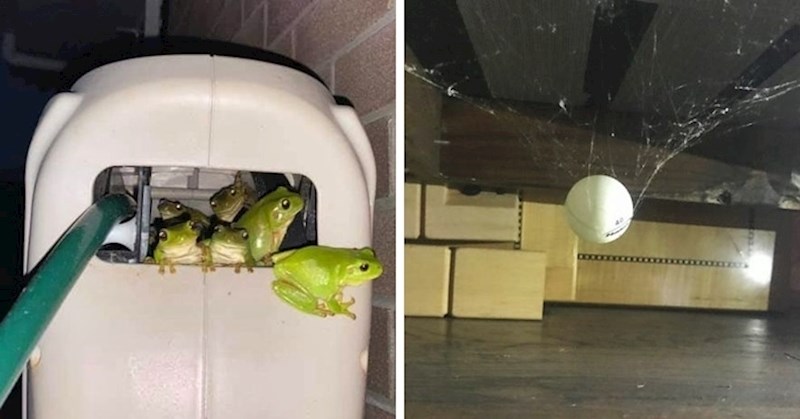 14 zanimljivih pronalazaka koje su ljudi morali podijeliti na društvenim mrežama