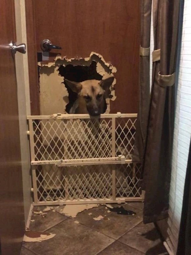 "Ma koga ćeš ti zatvoriti u sobi?!"