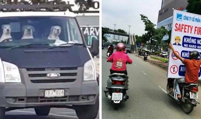 15 ljudi podijelilo je slike prizora koji se definitivno ne viđaju često