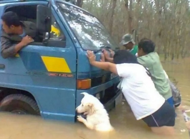 "Ono kad nemaš pojma što se točno događa, ali svejedno pokušaš pomoći..."