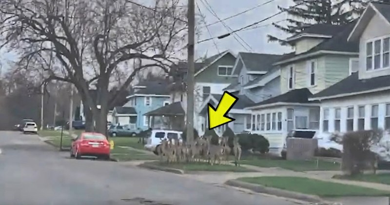 Ulice grada bile su puste zbog koronavirusa, a onda je vozač snimio nevjerojatan prizor