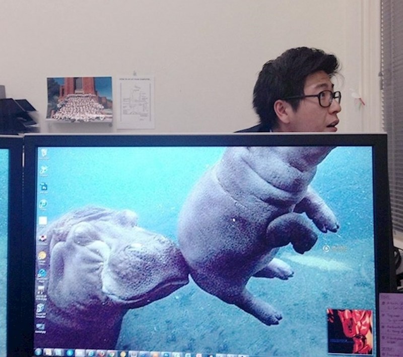 "Kolega iz ureda je htio da ga ovako slikam."