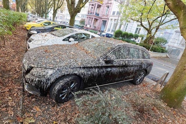 Nisu mogli odabrati gore mjesto za parkiranje auta.