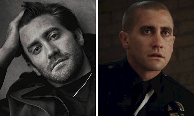 Jake Gyllenhaal
