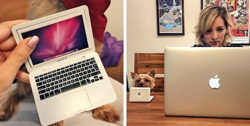 "Moj pas voli biti kraj mene dok radim pa sam i njemu kupila mali laptop."