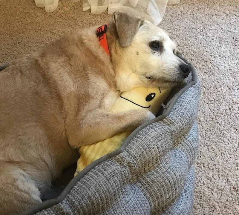 "Tessa ima 20 godina i još uvijek grli svoju staru plišanu bananu."