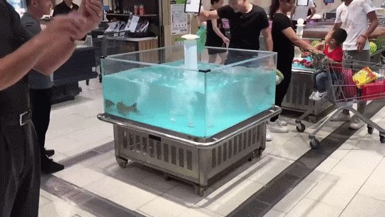 Čini se da je ova riba iz supermarketa pronašla svog kupca