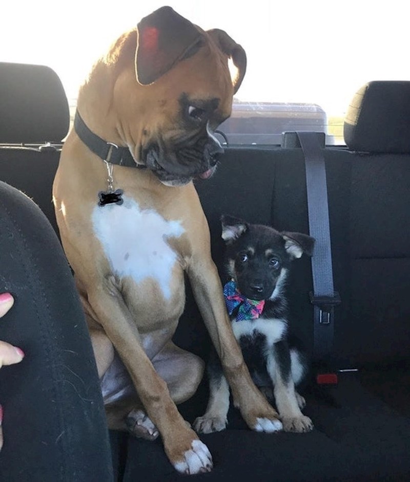 "Tko vam je ovaj mali?"