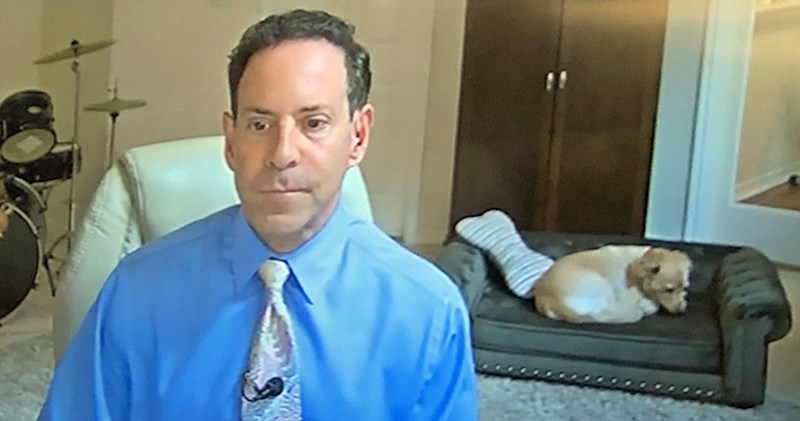 Meteorolog je smislio način kako popraviti ljudima raspoloženje, tajna je u njegovim ljubimcima