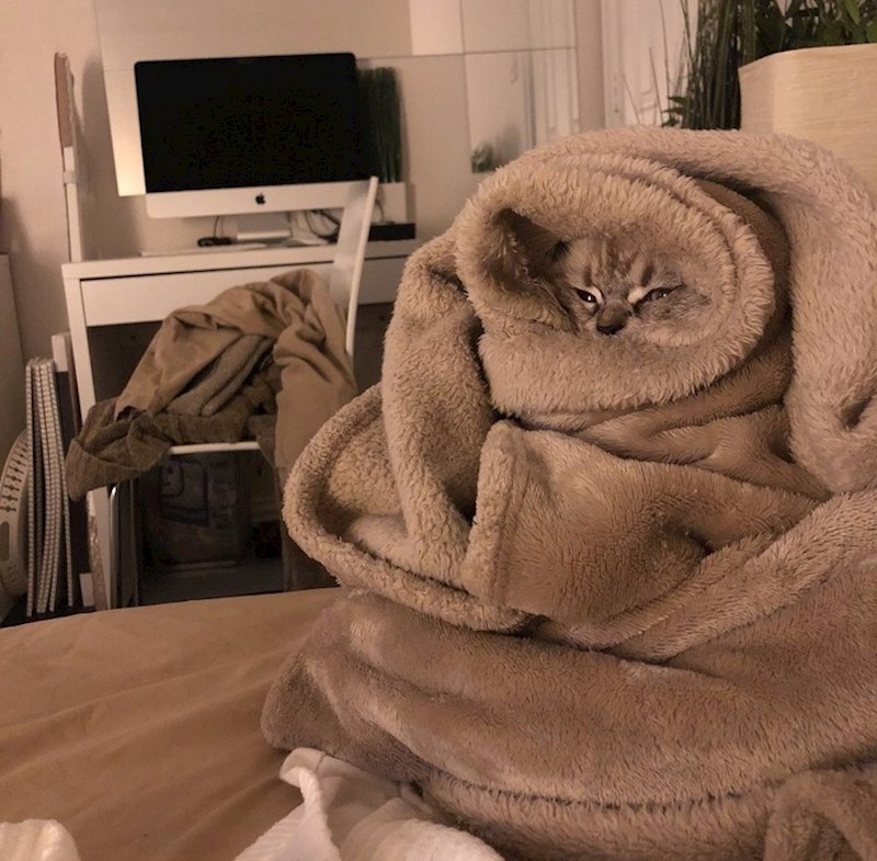 Čime bi se najradije bavila kad dođu "oni dani" u mjesecu...