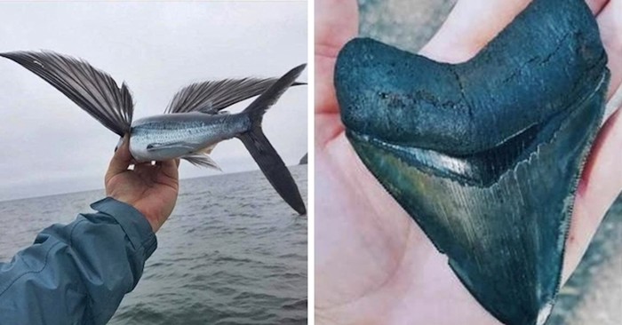 Ljudi su podijelili slike najposebnijih stvari koje su držali u svojim rukama