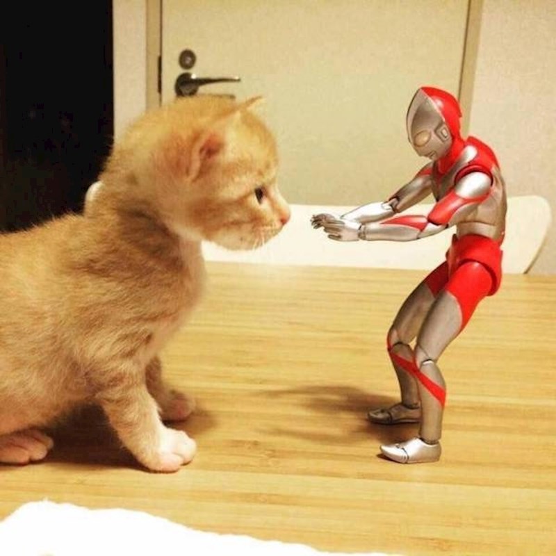 "Hej, upoznajmo se malo bolje..."