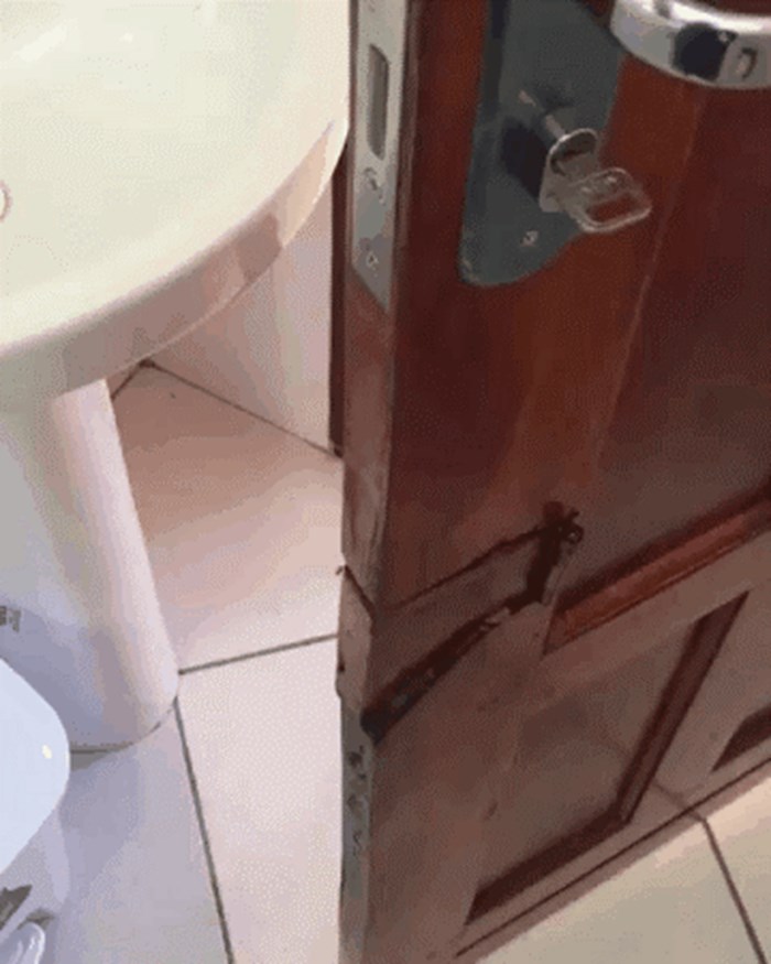 WC im je bio preuzak za zatvaranje vrata na normalan način pa su pronašli genijalno rješenje
