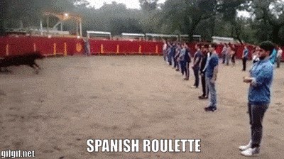 "Opasna beštija" je trčala ravno prema njima, no svi su stajali mirno. Ova snimka će vam dokazati nešto zanimljivo