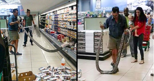 Kupac je našao 4 metara dugu zmiju u hladnjaku jednog supermarketa u Južnoafričkoj Republici.