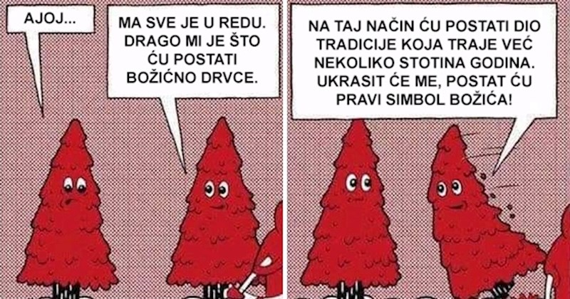Strip s neočekivanim završetkom: Što se dogodilo s borom koji se radovao Božiću?
