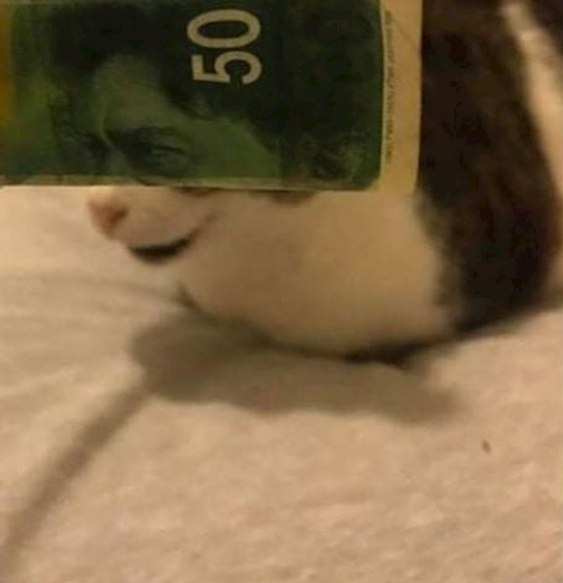 Pogledajte što je napravio: