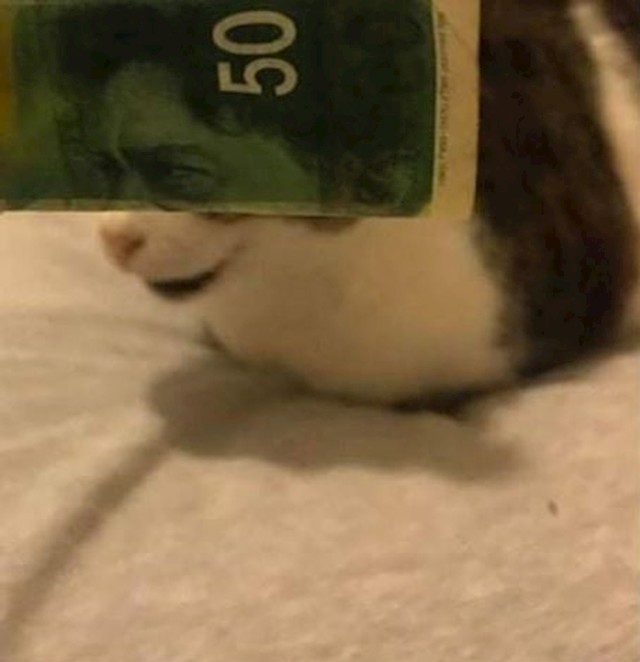 Pogledajte što je napravio: